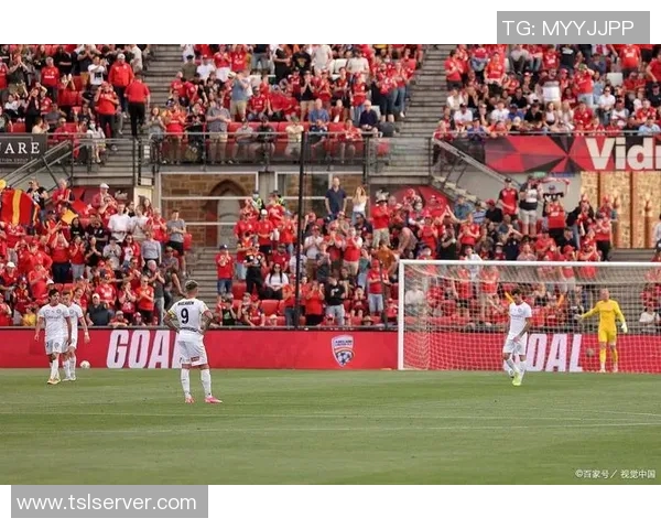 澳超精彩对决惠灵顿凤凰迎战墨尔本城争夺胜利荣耀 澳超精彩对决惠灵顿凤凰迎战墨尔本城争夺胜利荣耀