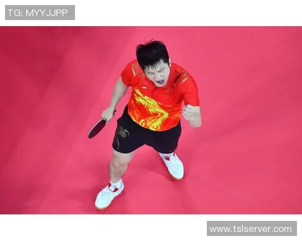 樊振东与马龙2017年巅峰对决回顾乒乓球历史上的经典时刻