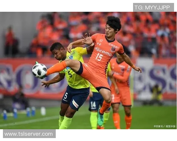 京东不死与长崎成功丸的较量谁能在商业竞争中笑到最后